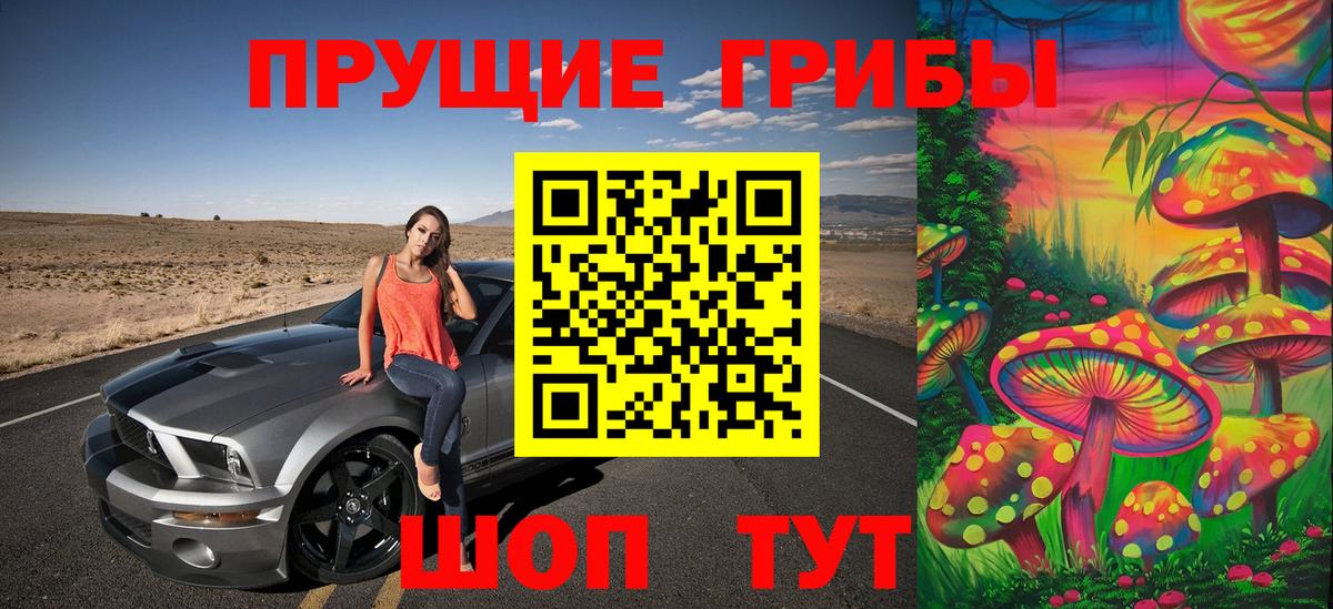 Псилоцибиновые грибы ЛСД Новозыбков